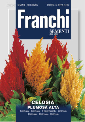 Plamenník - striebristý viacfarebný mix