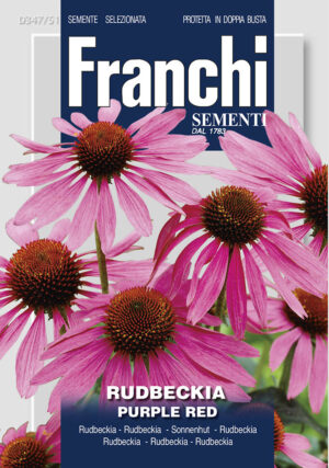 Rudbeckia - PURPLE RED