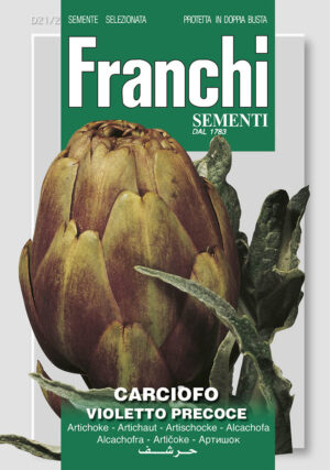Artičok - fialový