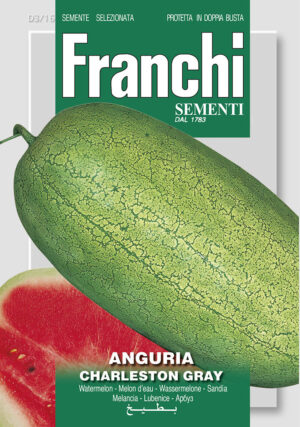 Melón vodný - CHARLESTON GRAY