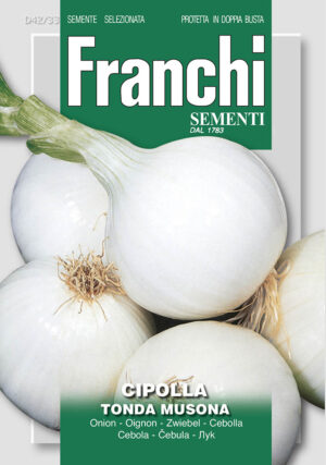 Cibuľa - TONDA MUSONA