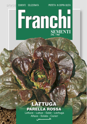 ŠALÁT - ROUGETTE DE MONTPELLIER