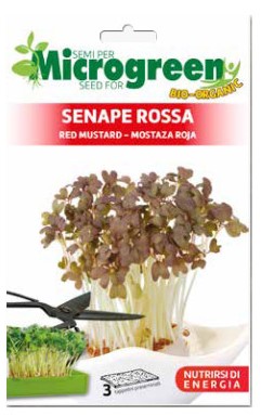 Mikrozeleninka - BIO - Červená horčica