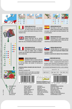 Starček - GRANDIFLORA - ZMES FARIEB F1