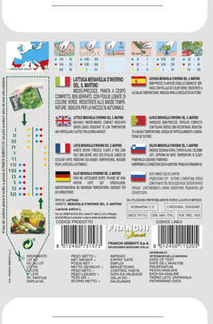 Šalát hlávkový - ZIMNÝ ZÁZRAK S. MARTINO