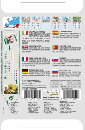 Čakanka puková červená - TREVISO