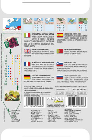 Čakanka červená - VERONA NESKORÁ