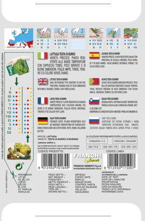 Šalát hlávkový - MASLOVÁ HLAVA – ZIMNÝ