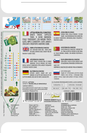 Šalát ľadový - REGINA DELLE CHIACCIOLE