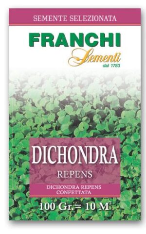 dichondra