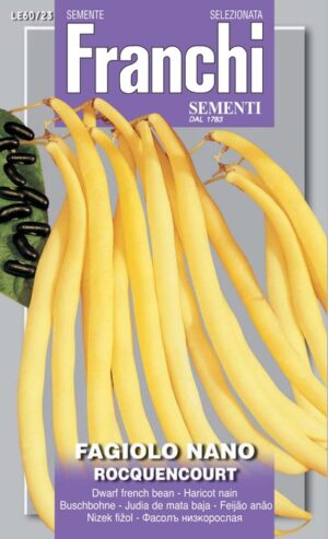 Fazuľa nízka - ROCQUENCOURT