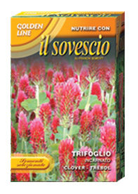 Ďatelina purpurová